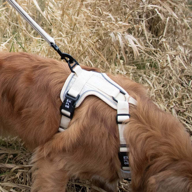 Harnais anti-traction